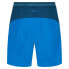 Фото #4 товара LA SPORTIVA Guard Shorts