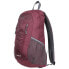 Фото #4 товара TRESPASS Bustle 25L backpack