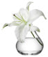 Фото #4 товара Flower Sprig Vase, klar