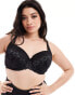 Фото #1 товара Ivory Rose Curve Roma C-G lace and spot mesh padded t shirt bra in black