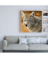 Mitch Catanzaro Coyote in the Desert Canvas Art - 15.5" x 21"