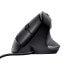Фото #6 товара Trust Bayo Vertical ergonomic mouse - Right-hand - Optical - USB Type-A - 4200 DPI - Black