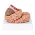 Фото #2 товара Model anatomiczny ludzkiego mózgu 9 elementów w skali 1:1