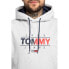 Tommy Jeans TJM Essential M DM0DM11630-PJ4 sweatshirt