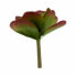 Фото #3 товара Декоративное растение Листья Большой Двухцветный Пластик 27 x 29 x 27 cm (6 штук)