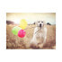 Фото #1 товара Puzzle Hund mit Luftballons 500 Teile