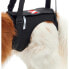 KRUUSE Hind Leg Elevator XL Harness