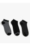 3'lü Patik Çorap Seti Çok Renkli Kırçıllı