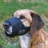 Фото #2 товара Намордник для собак TRIXIE Kaganiec из полиэстера с вставкой из нейлоновой сетки 1