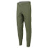 Фото #1 товара ALTURA Esker Trail pants