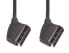 Фото #1 товара E&P VC 830 U/3 - 3.5 m - SCART (21-pin) - SCART (21-pin) - Black - Male/Male