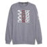 Фото #1 товара PUMA ACM FtblCore Graph Sweatshirt