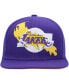 Фото #4 товара Men's Purple Los Angeles Lakers Paint By Numbers Snapback Hat