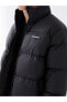 Фото #14 товара Куртка мужская надувная со стандартным кроем LC WAIKIKI Standart Kalıp Dik Yaka шерсть