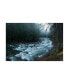 Фото #1 товара PhotoINC Studio River in the Forest Canvas Art - 36.5" x 48"