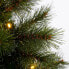 Weihnachtsbaum Glendon
