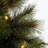 Фото #2 товара Weihnachtsbaum Glendon