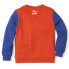 Puma X Tiny Colourblocked Crew Neck Sweatshirt Youth Boys Red 534812-25