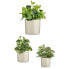 Set of pots Cylinder Ø 14 cm Ø 22 cm Ø 17 cm Casual 3 Pieces (3 Pieces)