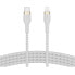 Фото #5 товара BELKIN CAA011BT1MWH Lightning usb-c cable 1 m