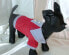 DoggyDolly Koszulka polo, czerwona,XS 18-20cm/31-33cm
