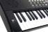 Фото #7 товара AXMAN LP5450 Keyboard incl. Microphone and power supply connector, 54 buttons, battery operated 6 x AA (power supply and batteries not included)
