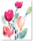 Фото #1 товара Tulip Study I 20" x 24" Gallery-Wrapped Canvas Wall Art