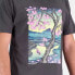 ფოტო #4 პროდუქტის NEW BALANCE AT Graphic Cotton short sleeve T-shirt