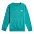 Фото #1 товара BILLABONG Arch EBBFT00107 sweatshirt