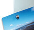 Jakob Maul GmbH MAUL 6167696 - Board magnet - Nickel - Germany - 4 pc(s)