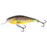 Фото #9 товара SALMO Executor SHR minnow 5g 50 mm