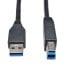 Фото #1 товара Tripp U322-015-BK USB 3.2 Gen 1 SuperSpeed Device Cable (A to B M/M) Black - 15 ft. (4.57 m) - 4.57 m - USB B - USB A - USB 3.2 Gen 1 (3.1 Gen 1) - Male/Male - Black