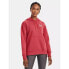 Фото #1 товара Under Armor Sweatshirt W 1373033-638