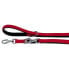 ფოტო #2 პროდუქტის FERPLAST Daytona GA20/200 Strap