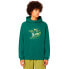 OAKLEY APPAREL Finish Line hoodie Viridian, XS - фото #1