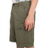 ELEMENT Legion cargo shorts