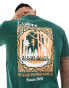 Napapijri Keoni t-shirt in dark green