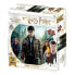 Фото #1 товара PRIME 3D Harry Potter Harry Hermione And Ron Puzzle 300 Pieces