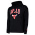 Фото #1 товара NEW ERA Team Logo Po Chicago Bulls hoodie