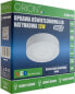 Фото #2 товара Lampa sufitowa Orion 1x6W LED (O-600-0142)