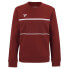 Фото #1 товара TECNIFIBRE Team Sweatshirt