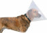 Фото #2 товара Защитный ошейник для собаки или кота TRIXIE KOЛЛЬЕКТОР 30 см