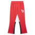 Puma Hoops X Lf Track Pants Mens Red Casual Athletic Bottoms 62983801