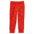 Puma Sweatpants X Tiny Aop Toddler Boys Size 2T Casual Athletic Bottoms 533995