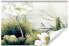 Фото #1 товара Fototapete BLUMEN Wasserlilien Blätter