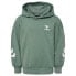 Фото #1 товара HUMMEL Due Hoodie