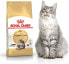 Фото #2 товара Сухой корм для кошек Royal Canin, для взрослых мейн-кунов, 0.4 кг
