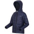 Фото #3 товара REGATTA Winter Bagley jacket