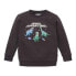 Фото #2 товара TOM TAILOR 1039183 Glow In The Dark sweatshirt