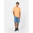 ფოტო #5 პროდუქტის DICKIES Creswell short sleeve T-shirt